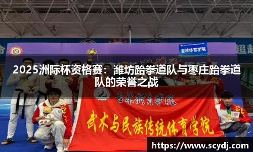 2025洲际杯资格赛：潍坊跆拳道队与枣庄跆拳道队的荣誉之战